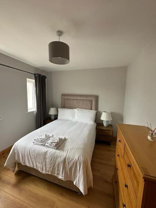 Snug Centrally Located Appartement Galway